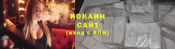 PSILOCYBIN Баксан