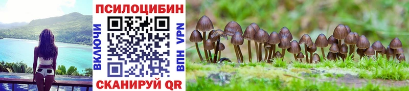 Галлюциногенные грибы Psilocybine cubensis Заозёрный